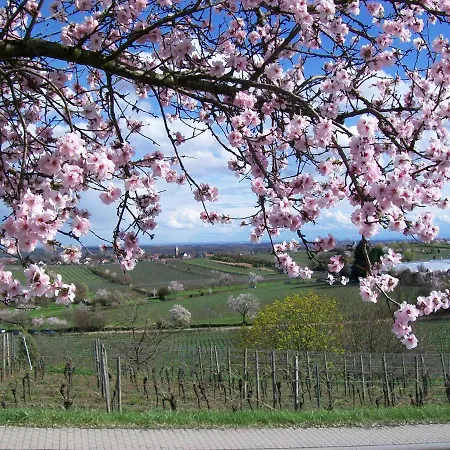 Loblocher Max Und Moritz Neustadt an der Weinstraße
