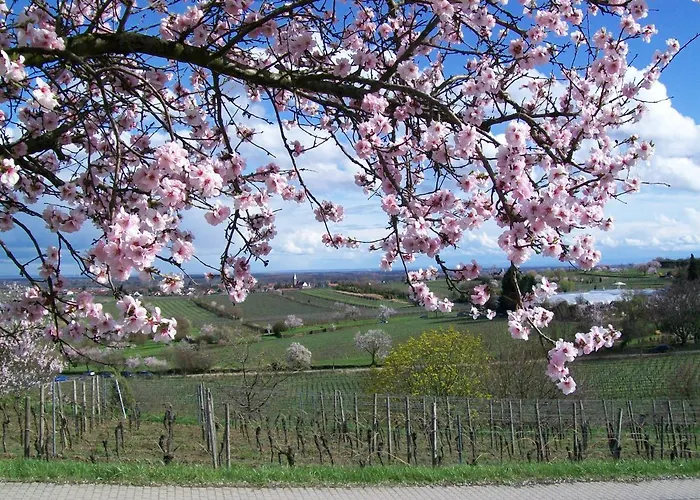 Loblocher Max Und Moritz Neustadt an der Weinstraße