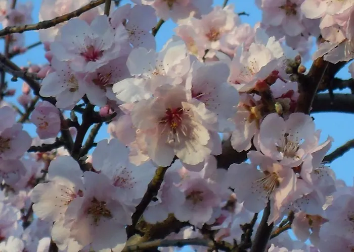 Loblocher Max Und Moritz *